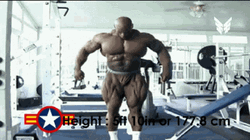 Ronnie Coleman Height Information GIF
