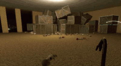 Room With Boxes and Person Laying on Ground