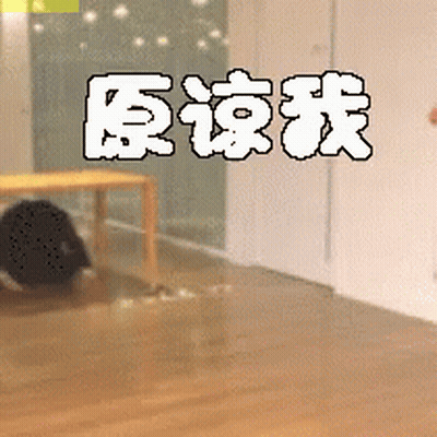 Room With Chinese Writing On Wall GIF