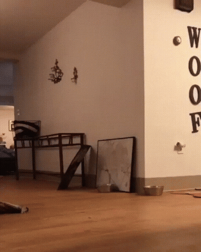Room With Clock Saying Woof GIF