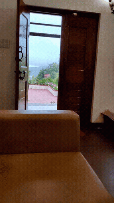 Room With Couch And Open Door View GIF
