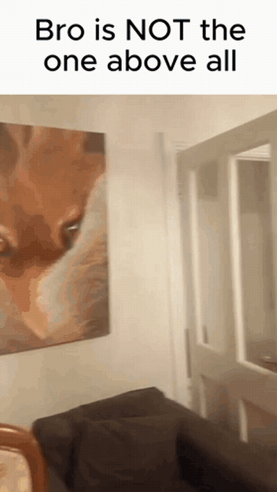 Room With Fox Painting Saying Bro Is Not The One Above All GIF