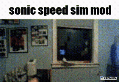 Room With Sonic Speed Sim Mod GIF