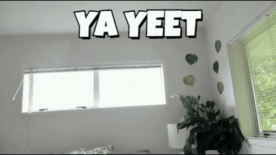 Room With Window And Ya Yeet GIF