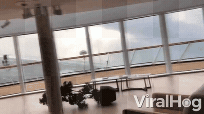 Room With Windows And Viralhog GIF