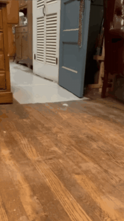 Room With Wooden Floor And Blue Door GIF