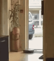 Roomba Irobot Vacuum Cleaner Wanna Clean Outside GIF