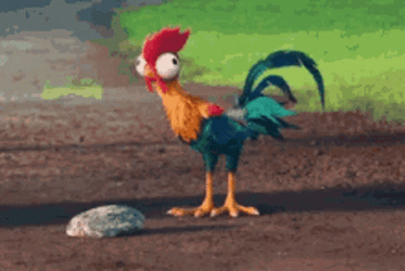 Rooster GIF