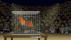 Rooster Crowing Inside Cage Infront Of Lots Of People GIF