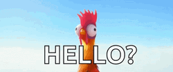 Rooster Crowing Moana Hello GIF