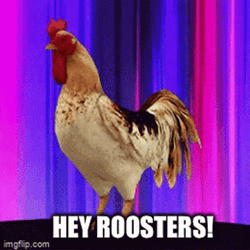 Rooster GIF