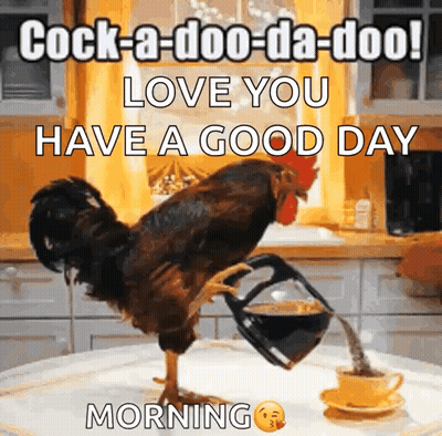 Rooster Pouring Coffee Into Cup GIF