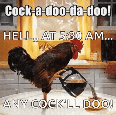 Rooster Pouring Coffee Into Cup GIF