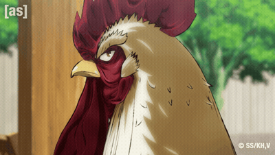 Rooster Saying As GIF
