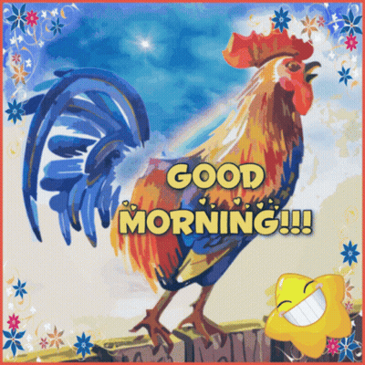 Rooster Saying Good Morning GIF