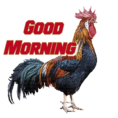 Rooster Saying Good Morning Sticker
