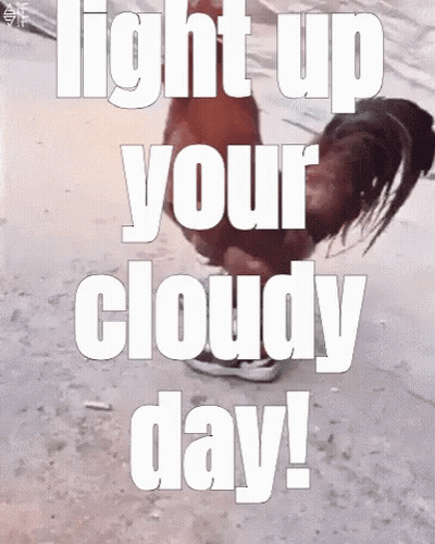 Rooster Saying Light Up Your Cloudy Day GIF