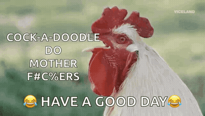 Rooster Says Cock-A-Doodle-Do Mother F# C% Ers Have A Good Day GIF