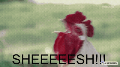 Rooster Screaming Sheeeeesh GIF