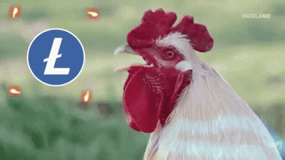 Rooster Standing In Front Of Blue Circle With Letter L GIF