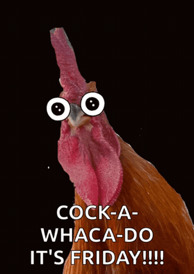 Rooster With Googly Eyes Saying Cock-A Whaca-Do It's Friday GIF