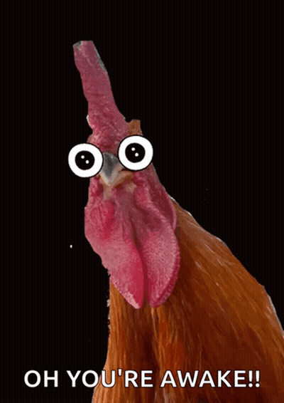 Rooster With Googly Eyes Saying Oh You're Awake GIF
