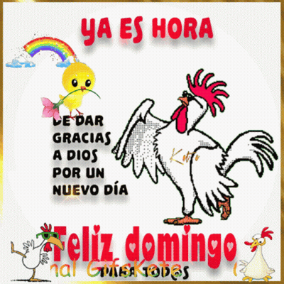 Rooster With Rainbow Ya Es Hora De Dar Gracias Por Un Nuevo Dia GIF