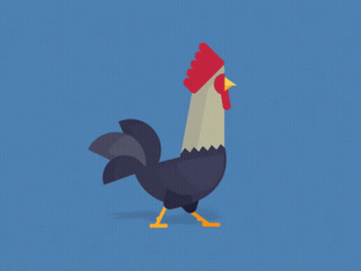 Rooster With Red Comb And Yellow Beak Walking On Blue Background GIF