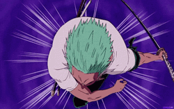 Roronoa Zoro Fighting Scene GIF