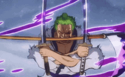 Roronoa Zoro Luffy Haki GIF