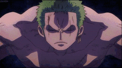 Roronoa Zoro Opening Right Eye GIF