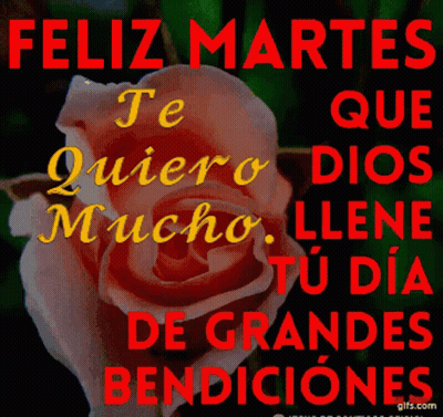 Rose Feliz Martes GIF