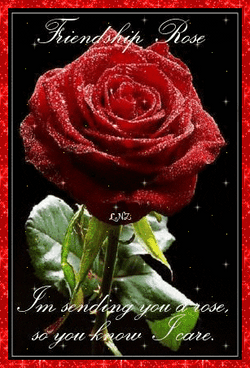 Rose Friendship Day GIF