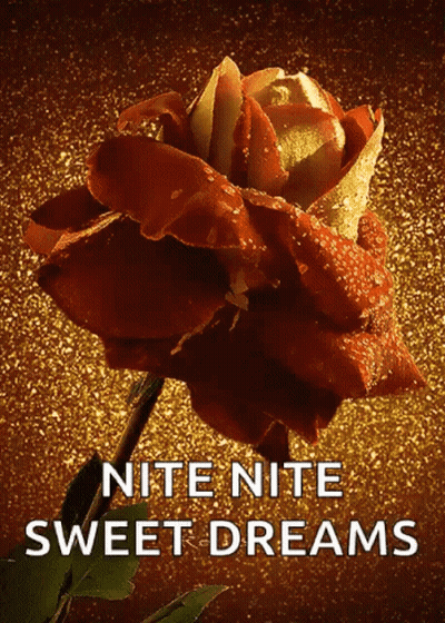 Rose Nite Nite Sweet Dreams GIF