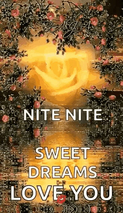 Rose 'Nite Nite Sweet Dreams Love You GIF