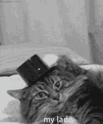 Rose Saying Goodnight Sweet Dreams Beautiful Love You GIF
