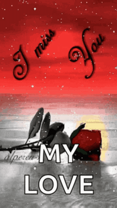 Rose With I Miss You My Love GIF