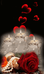 Rose With Pearl And White Candles Good Night GIF
