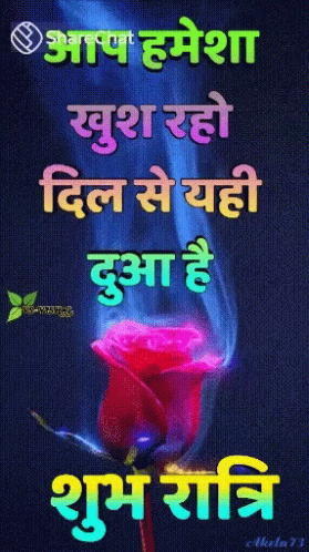 Rose With Sharechat GIF