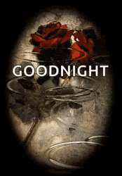 Rose With Water Riffle Effect Good Night GIF