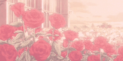 Roses Aesthetic Rose GIF