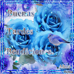 Roses And Bird Buenas Tardes Bendiciones GIF