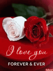 Roses I Love You Forever And Ever Gif | Gifdb.Com