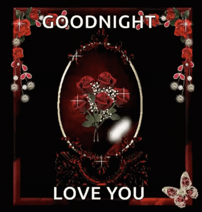 Roses In A Frame Saying Goodnight Love You GIF