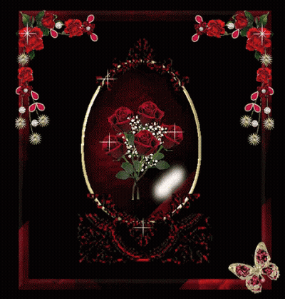 Roses In Red Frame With Butterfly GIF