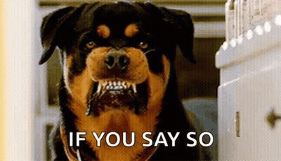 Rottweiler Dog Sitting By Refrigerator With Mouth Open GIF