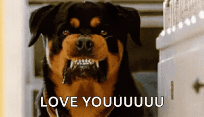 Rottweiler Looking At Camera Saying Love Youuuuu GIF