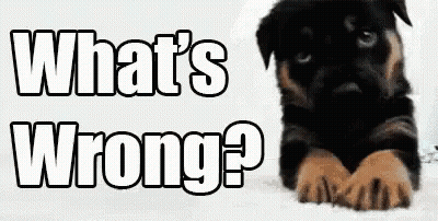 Rottweiler Puppy Laying Down In Front Of Sign Saying What's Wrong GIF
