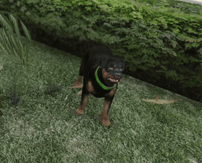 Rottweiler With Green Collar GIF