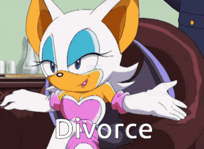 Rouge The Bat Cartoon Saying Divorce GIF
